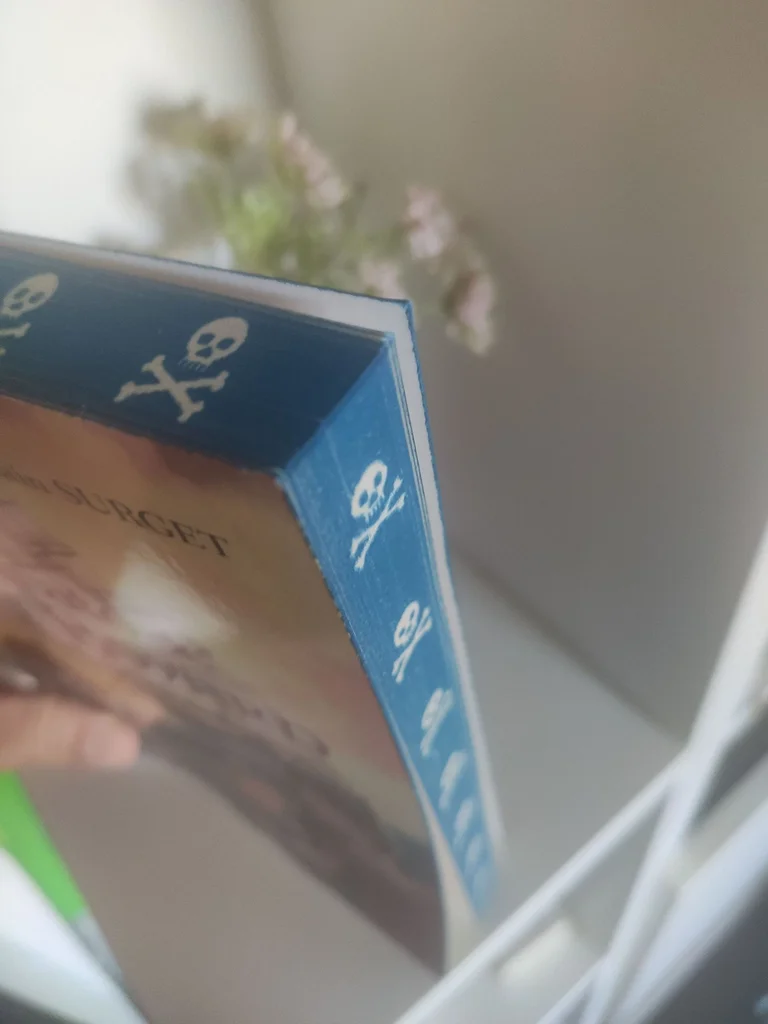O pirata de Fort Boyard Livre – photo 3